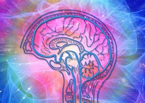 Cognitive Function